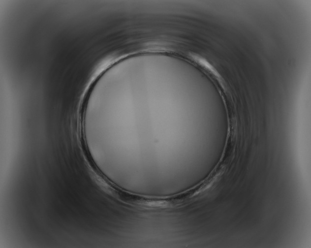 X0000086021467200704131839