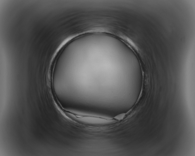 X0000086021468200704131839