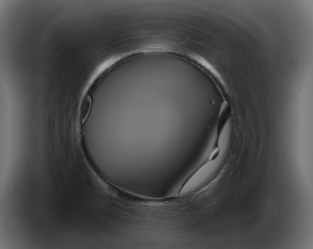 X0000086021469200704131839