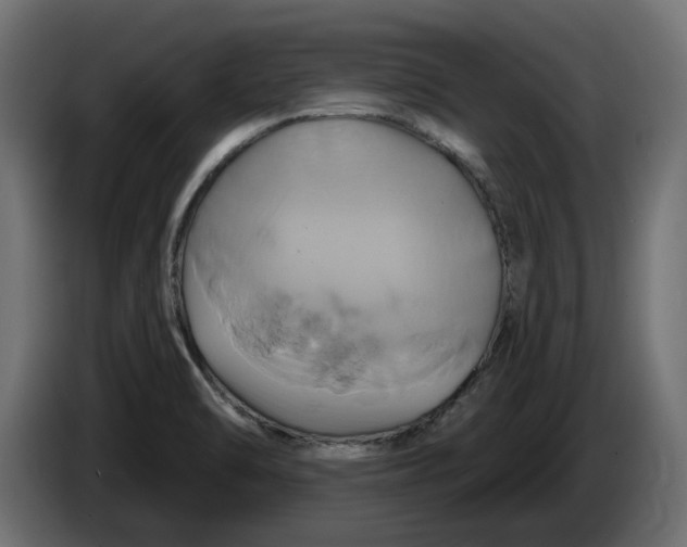 X0000086021470200704131839