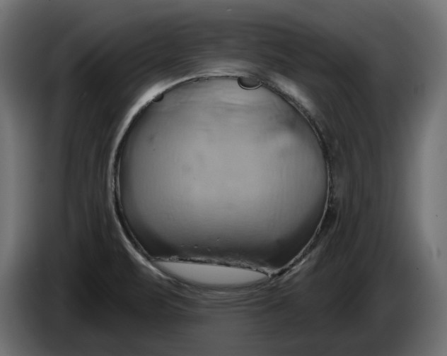 X0000086021471200704131839