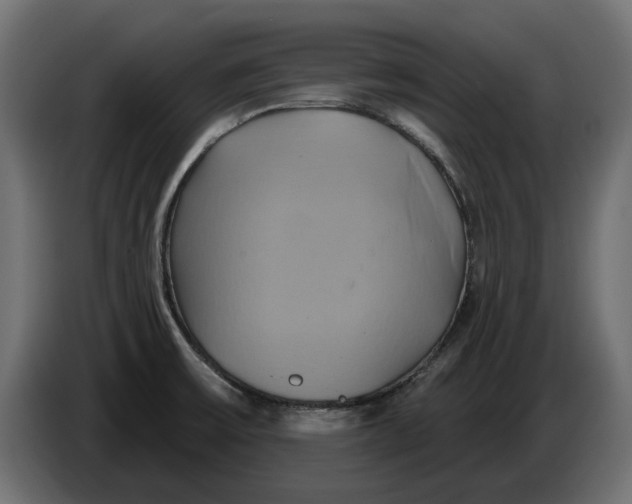 X0000086021475200704131839