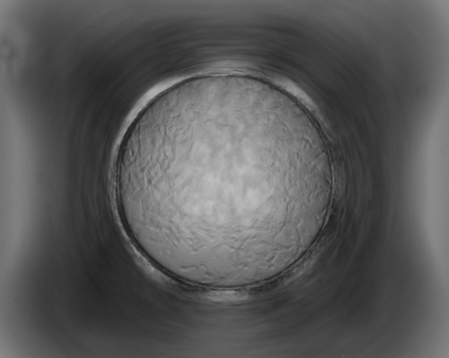 X0000086021478200704131839