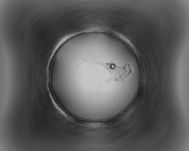 X0000086021479200704131839