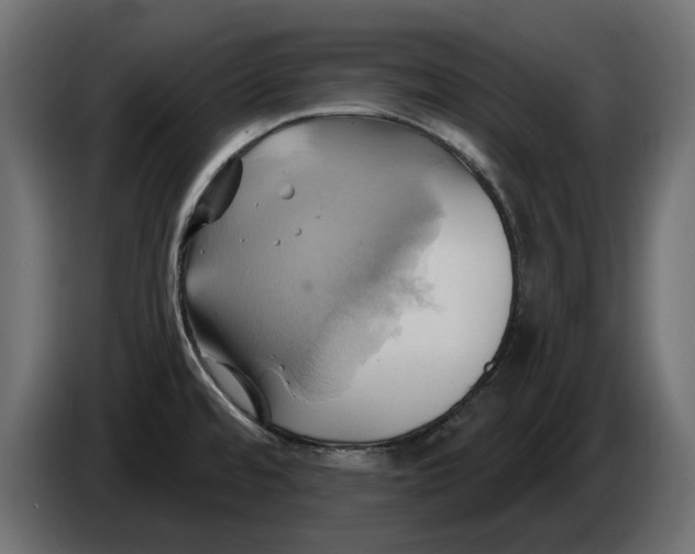 X0000086021480200704131839