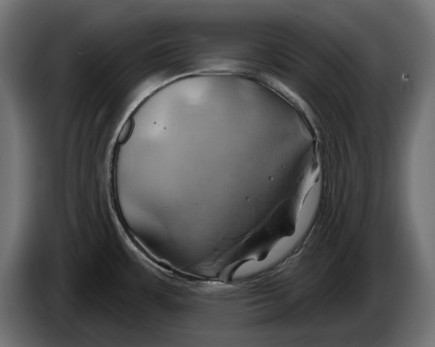 X0000086021483200704131839