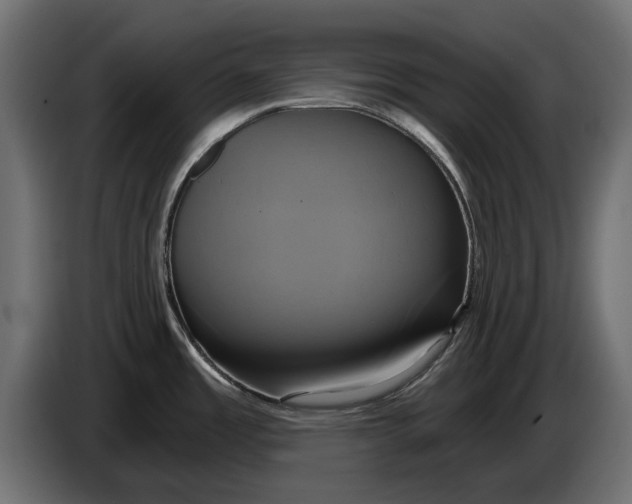 X0000086021485200704131839
