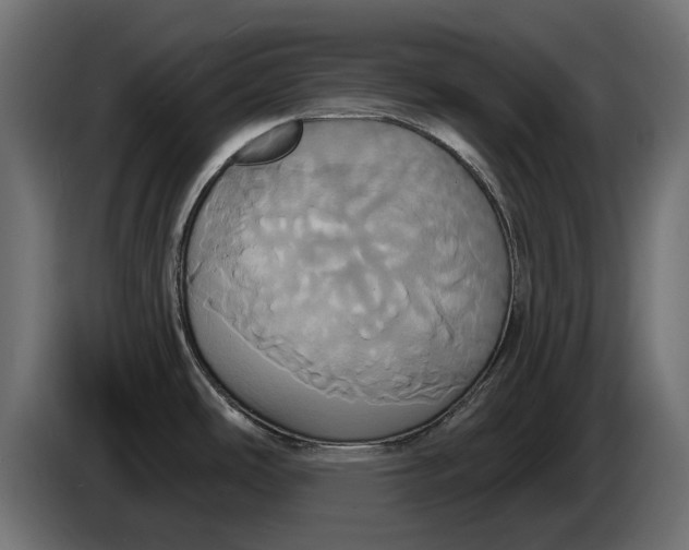 X0000086021486200704131839