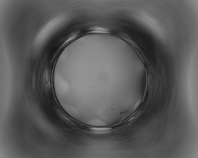 X0000086021487200704131839