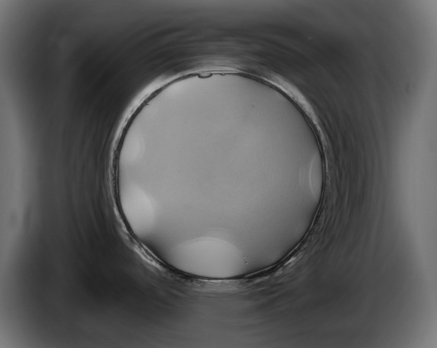 X0000086021488200704131839