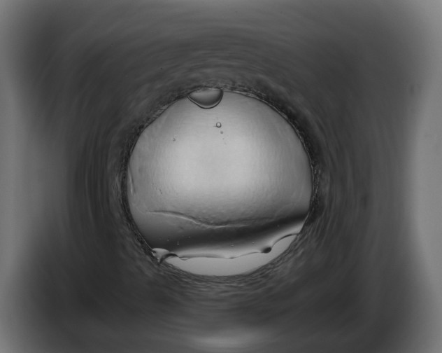X0000086021489200704131838