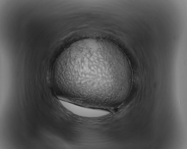 X0000086021490200704131838