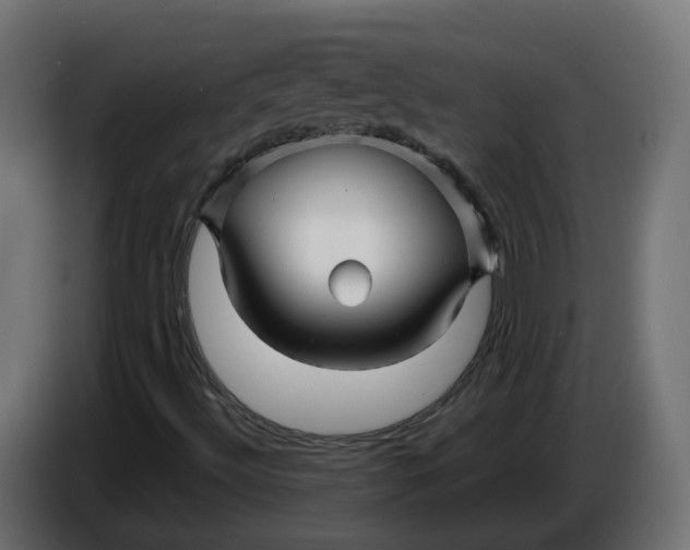 X0000086021492200704131838