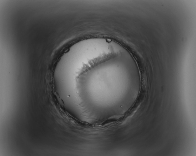 X0000086021494200704131838