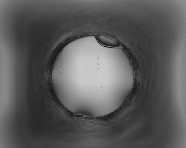 X0000086021495200704131838