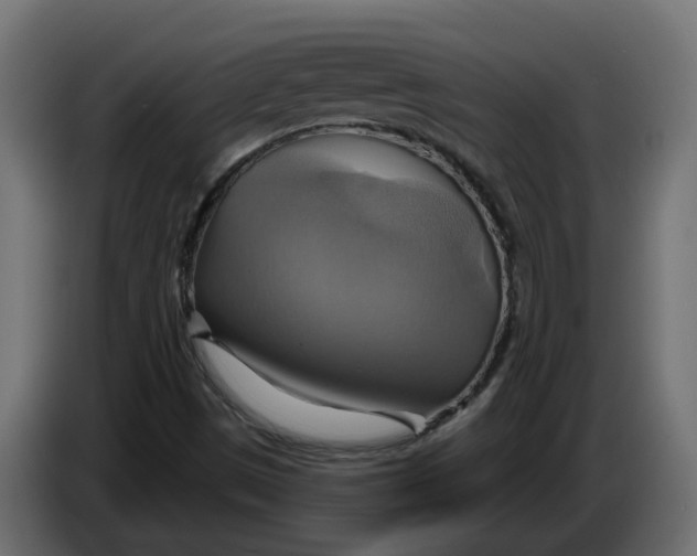 X0000086021497200704131838
