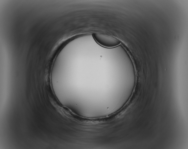 X0000086021499200704131838