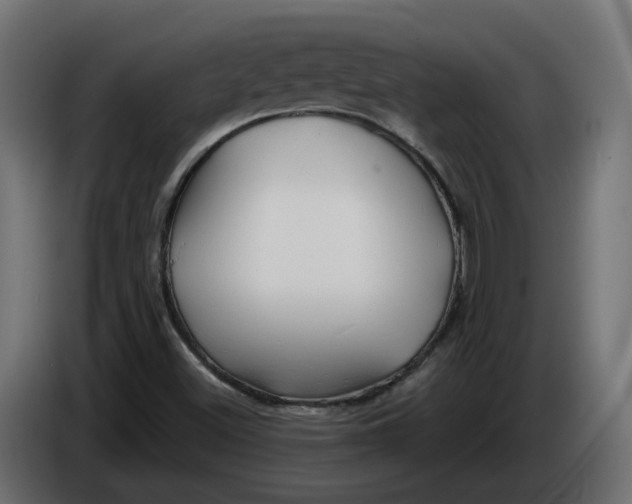 X0000086021500200704131838