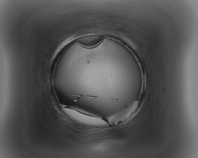 X0000086021501200704131838