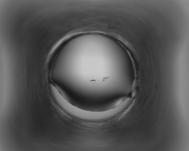 X0000086021502200704131838