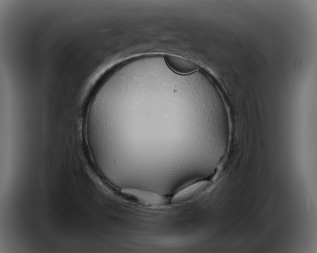 X0000086021503200704131838