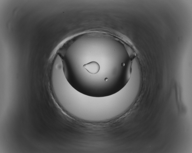 X0000086021504200704131838