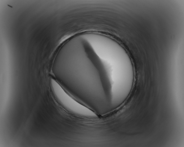 X0000086021505200704131838