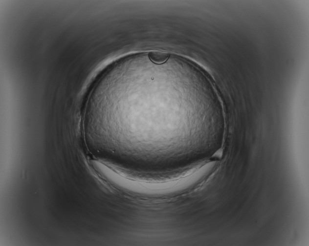 X0000086021507200704131838