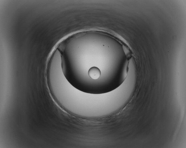 X0000086021508200704131838