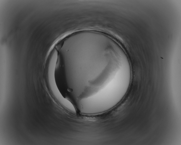 X0000086021509200704131838