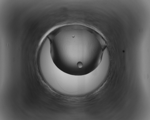 X0000086021510200704131838