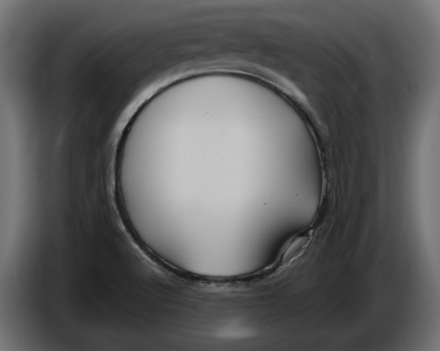 X0000086021512200704131838