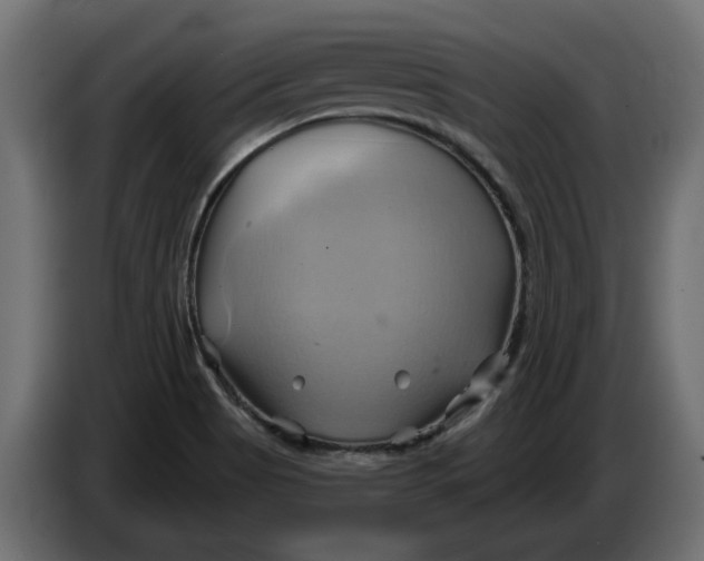X0000086021513200704131838
