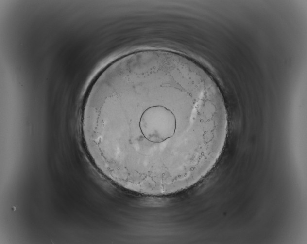 X0000086021514200704131838