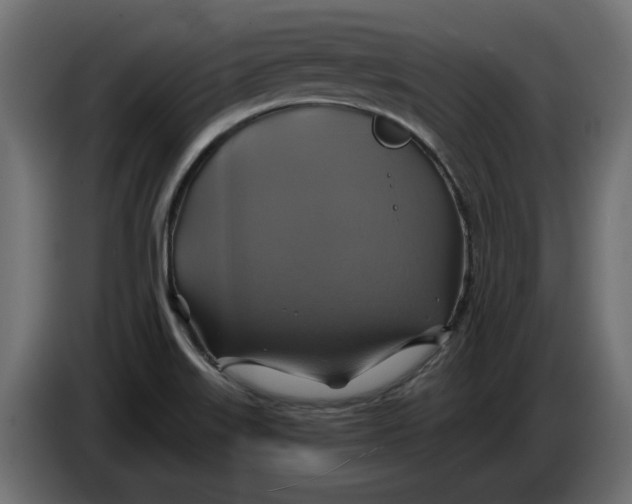 X0000086021515200704131838