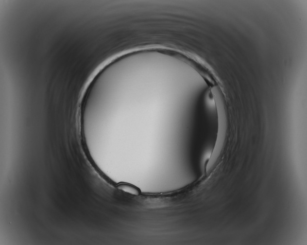 X0000086021516200704131838