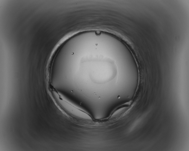 X0000086021517200704131838