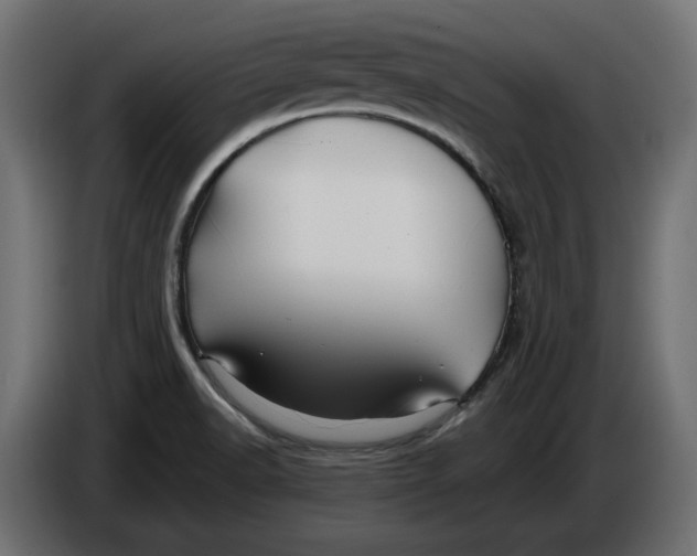 X0000086021518200704131838