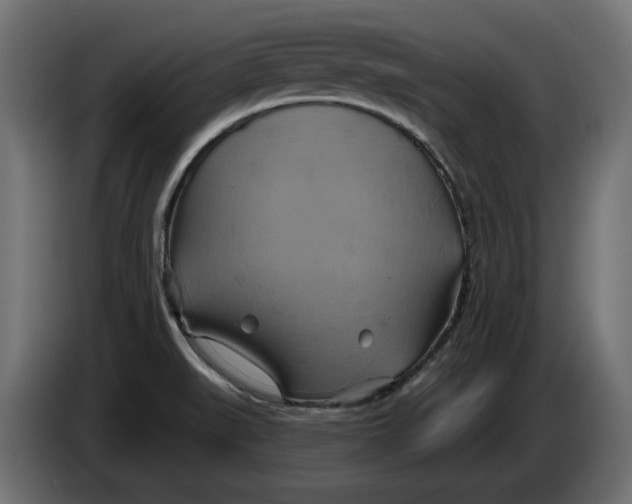 X0000086021519200704131838