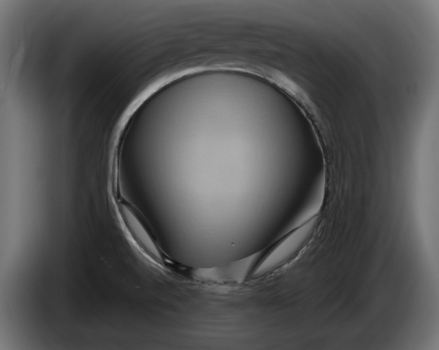 X0000086021520200704131838