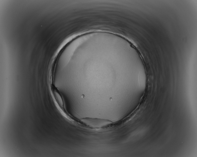 X0000086021523200704131838