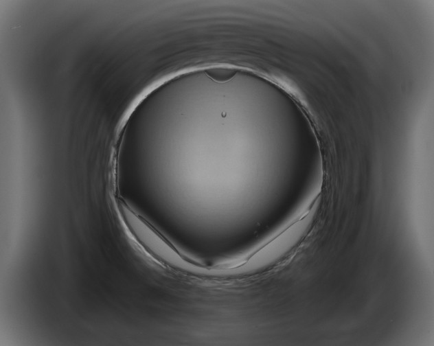 X0000086021524200704131838