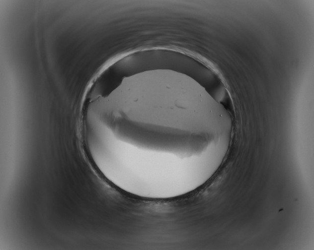 X0000086021525200704131838