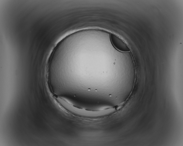 X0000086021526200704131838