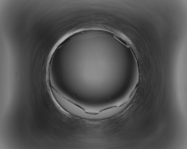 X0000086021528200704131838