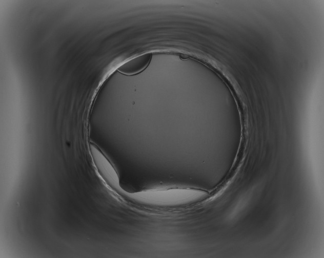 X0000086021529200704131838