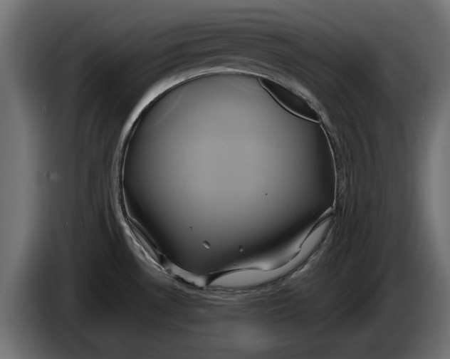 X0000086021530200704131838