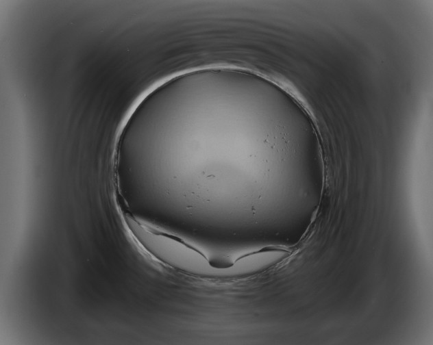 X0000086021532200704131838