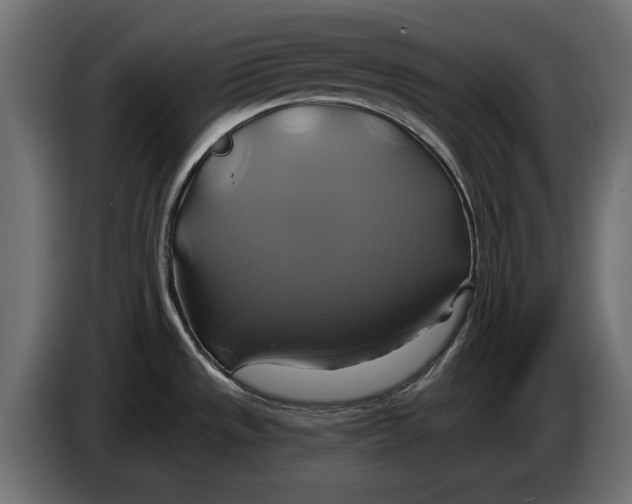X0000086021533200704131838