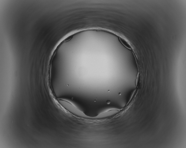 X0000086021534200704131839